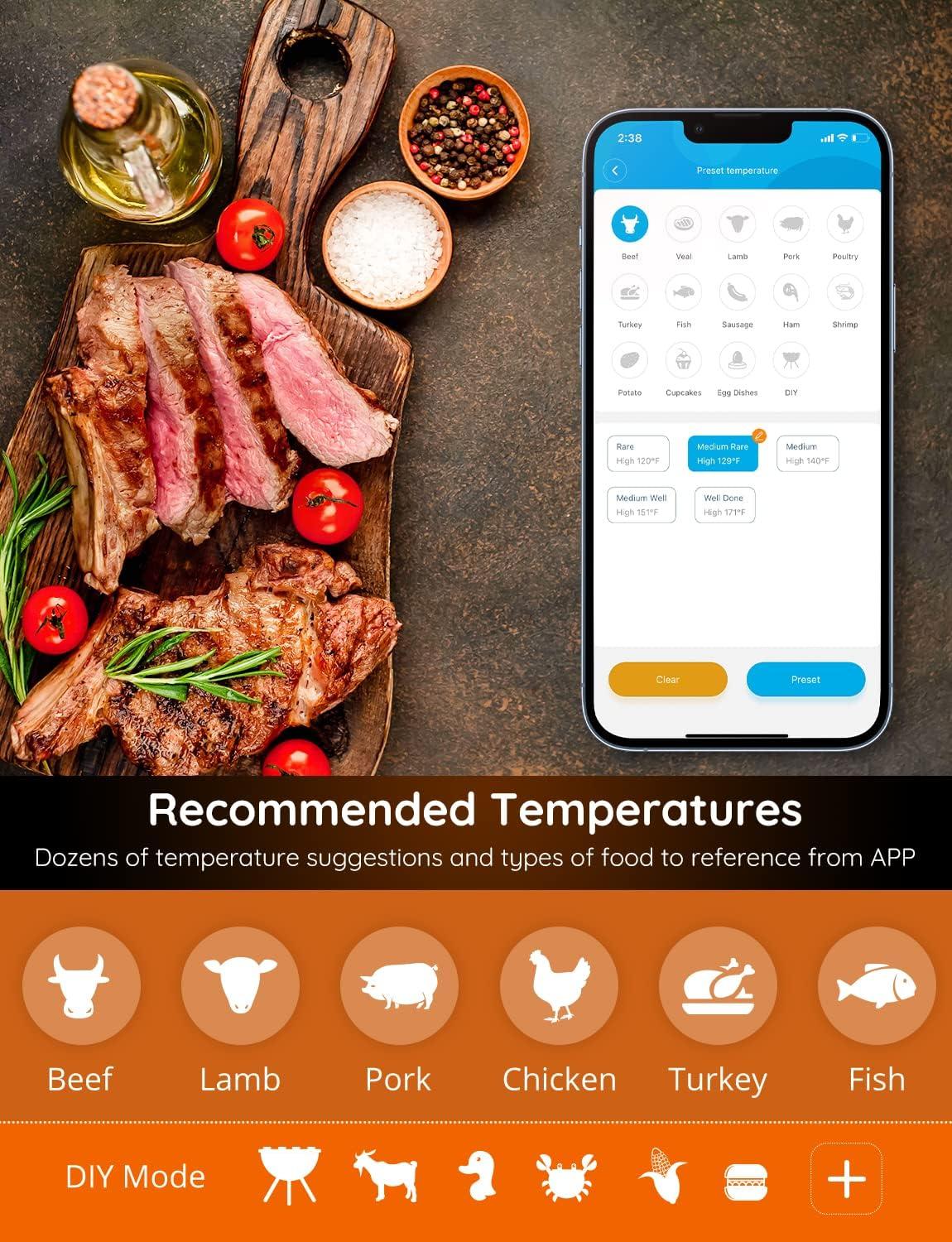 imageGovee Wireless Meat Thermometer with 4 Probe Smart WiFi Meat Thermometer with Unlimited Range App Notification Alert Digital Rechargeable Bluetooth Food Thermometer for Smoker BBQ Grill Oven Kitchen