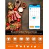 imageGovee Wireless Meat Thermometer with 4 Probe Smart WiFi Meat Thermometer with Unlimited Range App Notification Alert Digital Rechargeable Bluetooth Food Thermometer for Smoker BBQ Grill Oven Kitchen