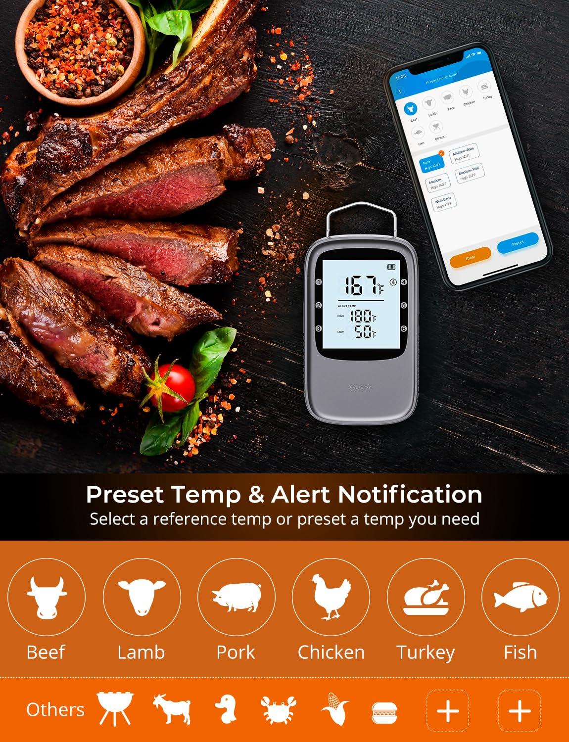imageGovee Bluetooth Meat Thermometer Wireless Meat Thermometer for Smoker Oven Digital Grill Thermometer with 6 Probes Timer Mode Smart LCD Backlight BBQ Thermometer for Cooking Turkey Fish BeefSilver
