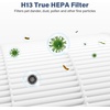 image:imageH7126 Replacement Filter Compatible with GoveeLife Mini Air Purifier H7126 3in1 H13 True HEPA with 6 pcs Aroma Pads H7126RF 2 Pack