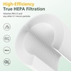 image:imageH7126 Replacement Filter for GoveeLife H7126 Mini Air Purifier 4 Pack2 Pack